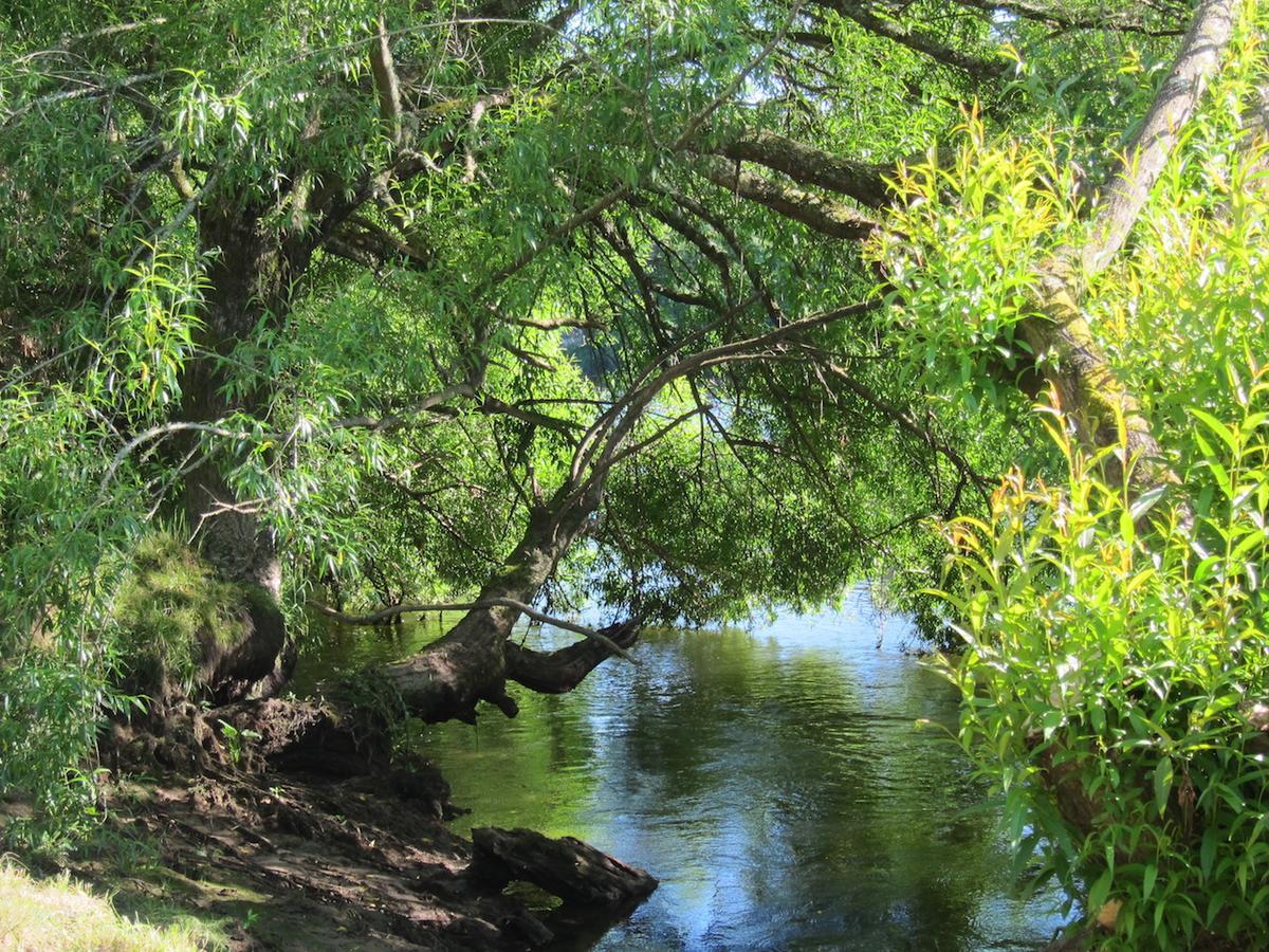 On The River Tamahere エクステリア 写真